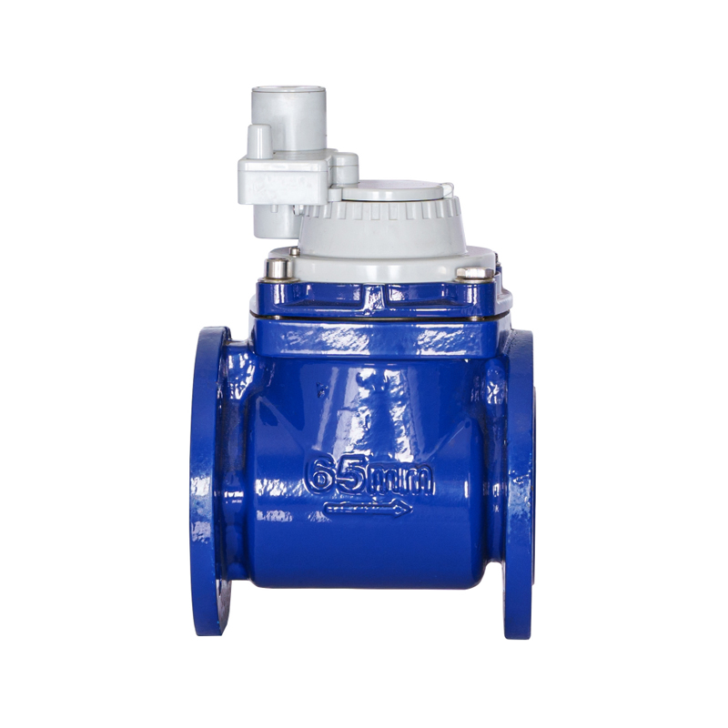 WPH DN50-DN200 水平着脱式ねじ翼非磁性一体型水道メーター WPH DN50-DN200 水平着脱式ねじ翼非磁性一体型水道メーター